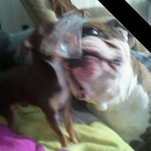 Meet your Posher, Nancy